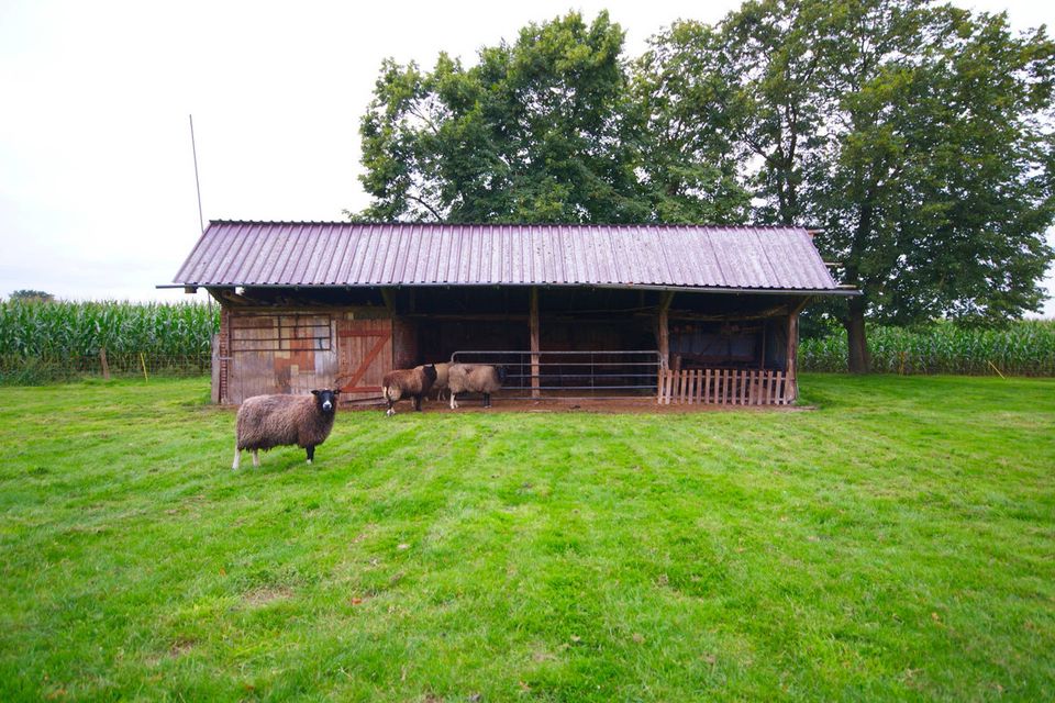 Provisionsfrei für den Käufer! Imposanter Resthof mit Potential in abgeschiedener Lage bei Ocholt in Westerstede