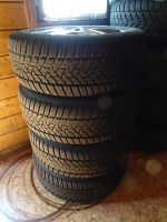 Winterreifen - Dunlop Sport 5 - 215/55 R 16 93H Nordrhein-Westfalen - Harsewinkel Vorschau