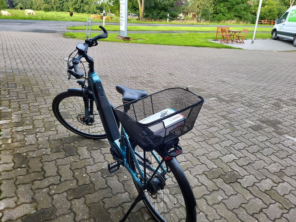 Conway Cairon T380 E-Bike Bosch Active Line Plus 500 WH in Wischhafen