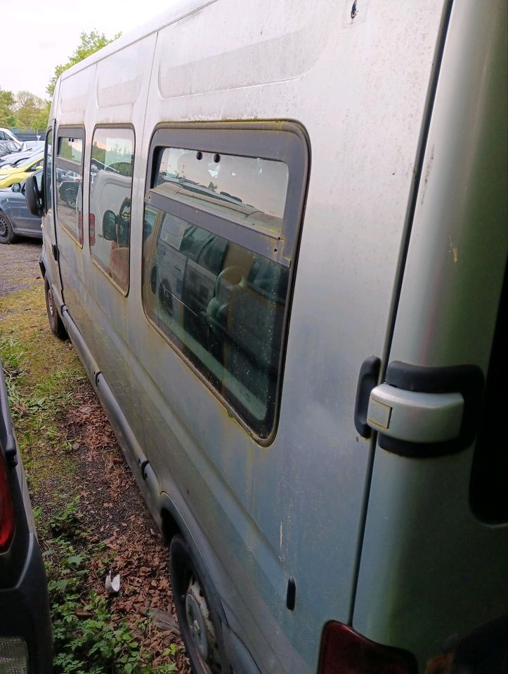 Schlachtfest Renault Master 2.5 Diesel 2004 in Bochum