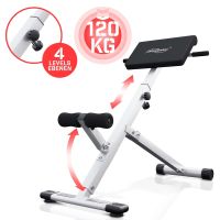 Bauchtrainer Rückenstrecker Hyperextension Rückentrainer Hessen - Hainburg Vorschau