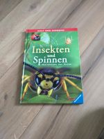 Buch Insekten und Spinnen Sachsen - Bannewitz Vorschau