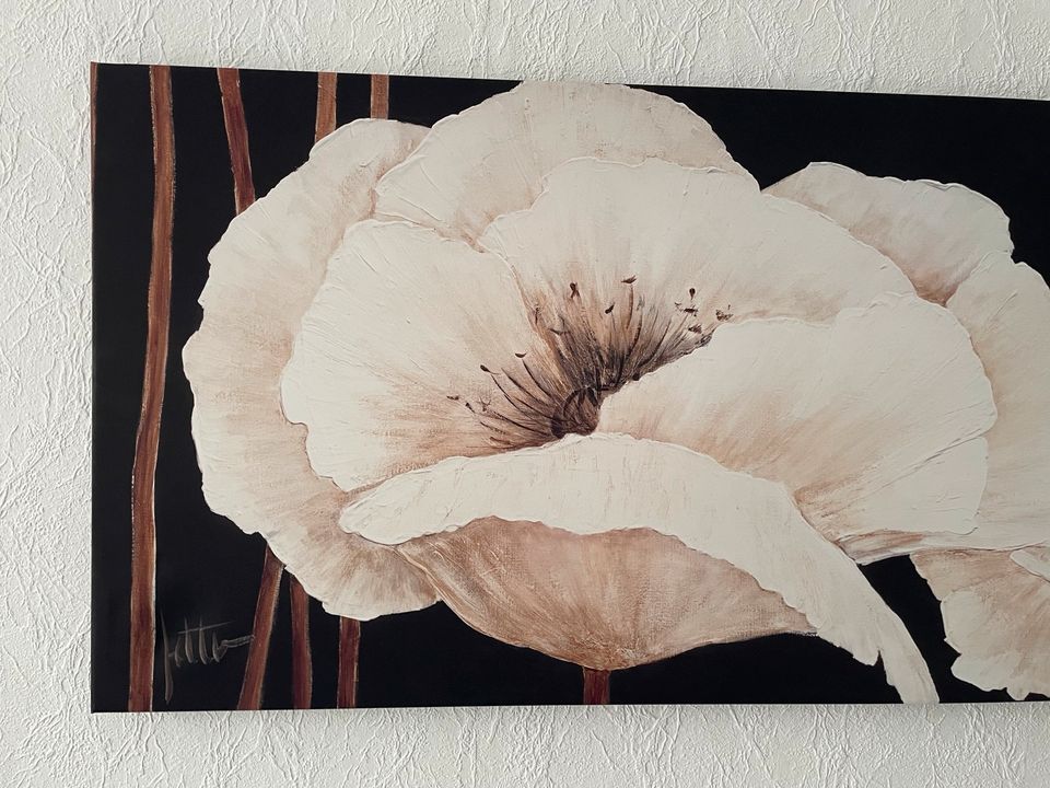 Großes Bild Blume Amazing Poppies, Roseboom 116x58 cm Leinwand? in Barsinghausen