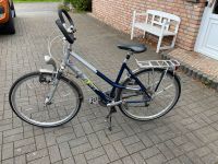 Fahrrad Damen 28“ Giant Freerider Schleswig-Holstein - Hohenaspe Vorschau