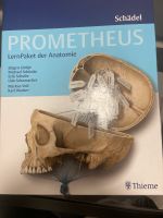 Prometheus LernPaket der Anatomie Schädel Lernkarten Niedersachsen - Göttingen Vorschau