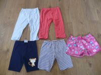 Verbaudet 3/4 Leggings + Topolino Shorts Gr. 122 Schleswig-Holstein - Eckernförde Vorschau