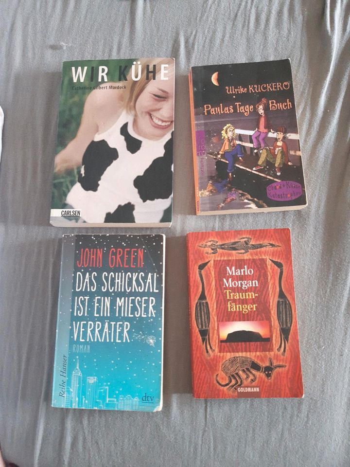 4 Jugendbücher Romane in Bornheim