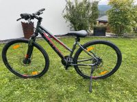 Bulls Damen Crossbike MTB Rheinland-Pfalz - Morbach Vorschau