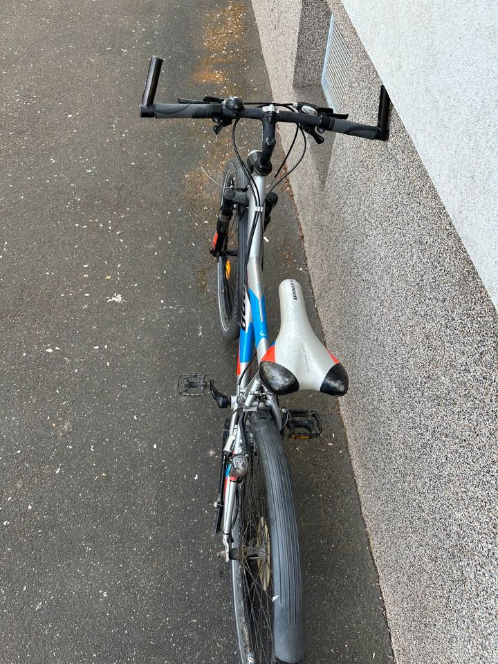 Fahrrad Winona in Schweinfurt