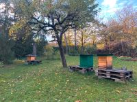 Bienenvölker Carnica Hessen - Mittenaar Vorschau