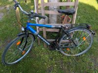 Herren Trekking-Fahrrad 28 Zoll von McKenzie Niedersachsen - Lehrte Vorschau