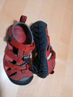 Keen sandalen Größe 27/28 sehr guter Zustand weiche Sohle rot Niedersachsen - Burgdorf Vorschau