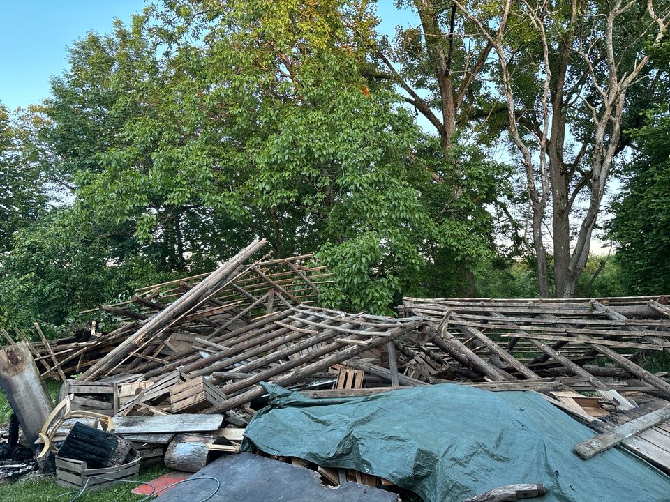 Brennholz zu verschenken in Berg