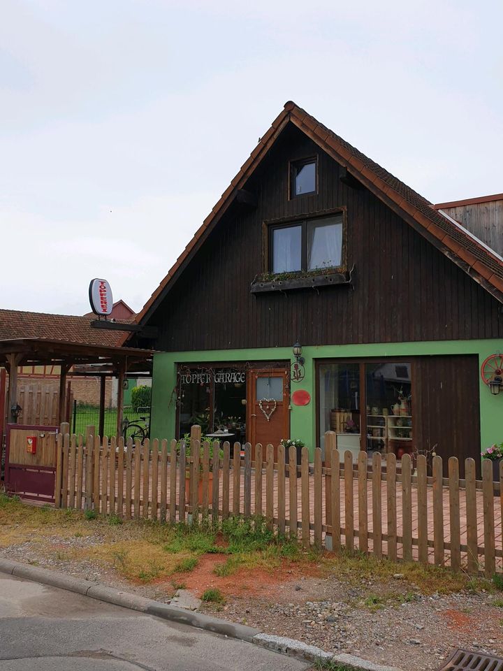 Töpfern auf der Töpferscheibe, Workshop, Töpferkurs,  Anfänger in Arnstadt