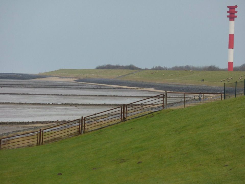 Ferienhaus F15, Urlaub, Eckwarderhörne, Butjadingen, Nordsee in Butjadingen