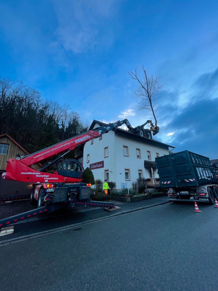 Baumfällung Forstmulchen Wimmer in Altenkunstadt