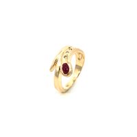 Ring Gelbgold 585 / 14 Karat mit Rubin & Brillanten Gr.54,5 Nr. 5 Niedersachsen - Peine Vorschau