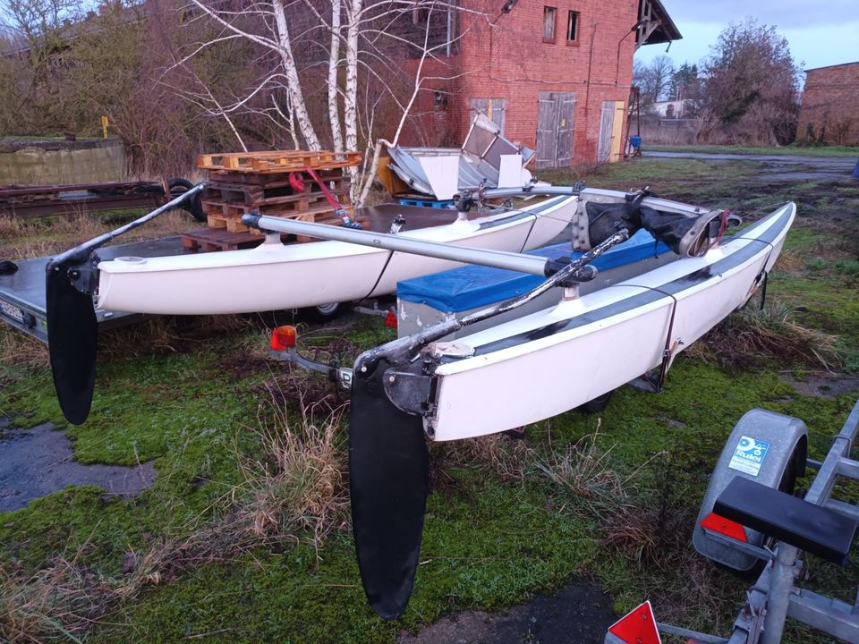 Katamaran Hobie Cat 16 Klassiker Werftbau Segelboot Cat image