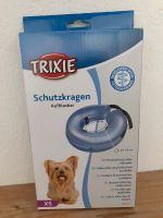 Schutzkragen für Hunde Bayern - Kemnath Vorschau