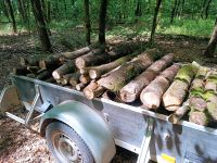 Brenn-Feuer-Holz Eiche Niedersachsen - Walsrode Vorschau