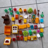 50 Lego Duplo Steine Fenster Toilettenpapier Blume Baum Nordrhein-Westfalen - Wiehl Vorschau
