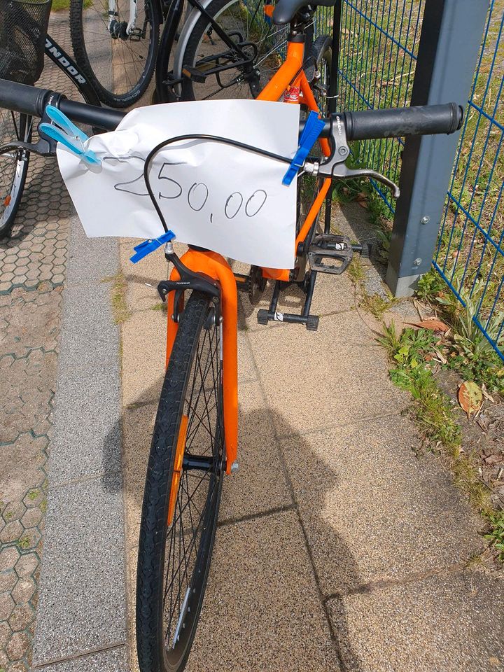 Fahrrad Excelsior in Kiel