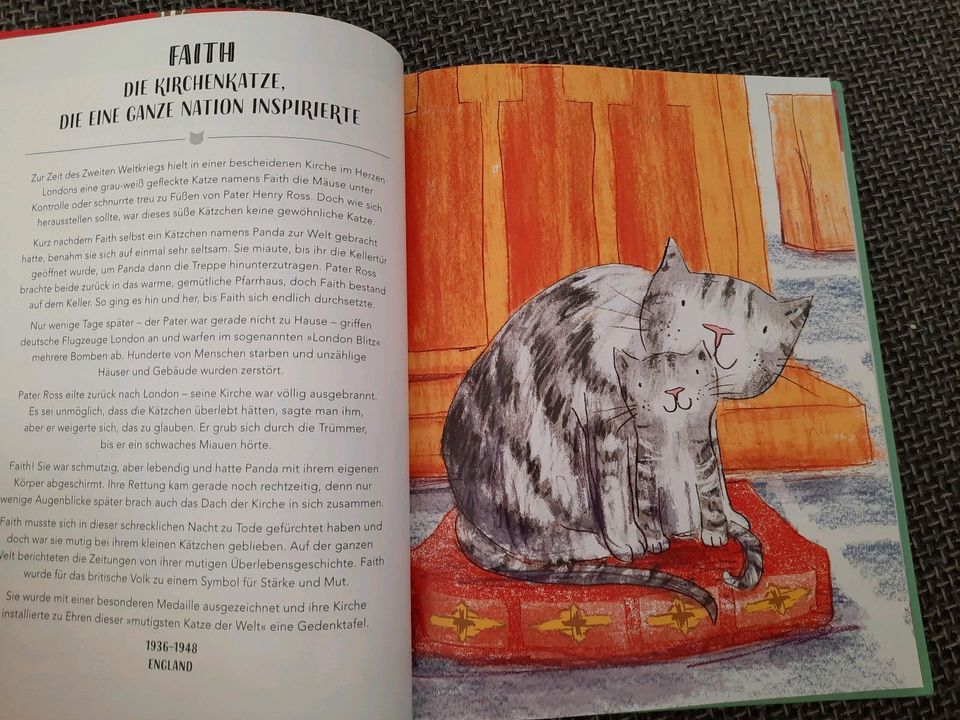Buch "Rebel Cats Legendäre Katzen und ihre Abenteuer", NEU in Radebeul