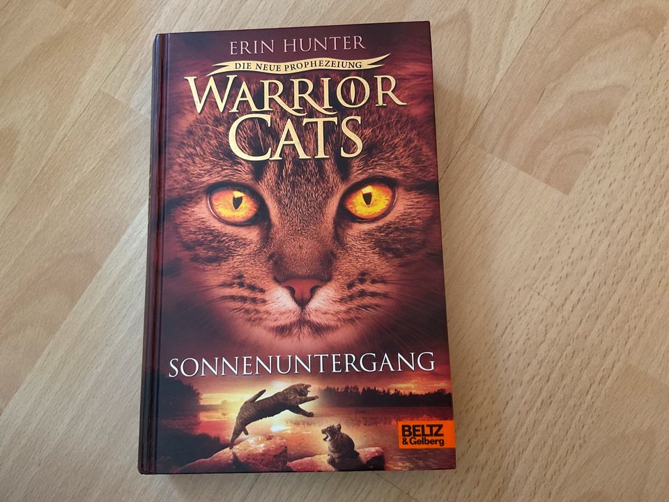 Warrior Cats Staffel 2 Band 1-6 in Lage