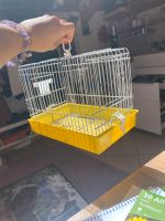 Transportbox für Kleintiere München - Hadern Vorschau
