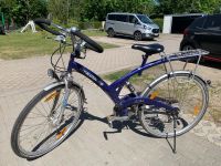 28 zoll Fahrrad Hercules Luxor Brandenburg - Eggersdorf Vorschau