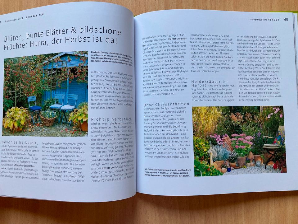 Der Garten im Topf [ Gebundene Ausgabe ] in Schefflenz