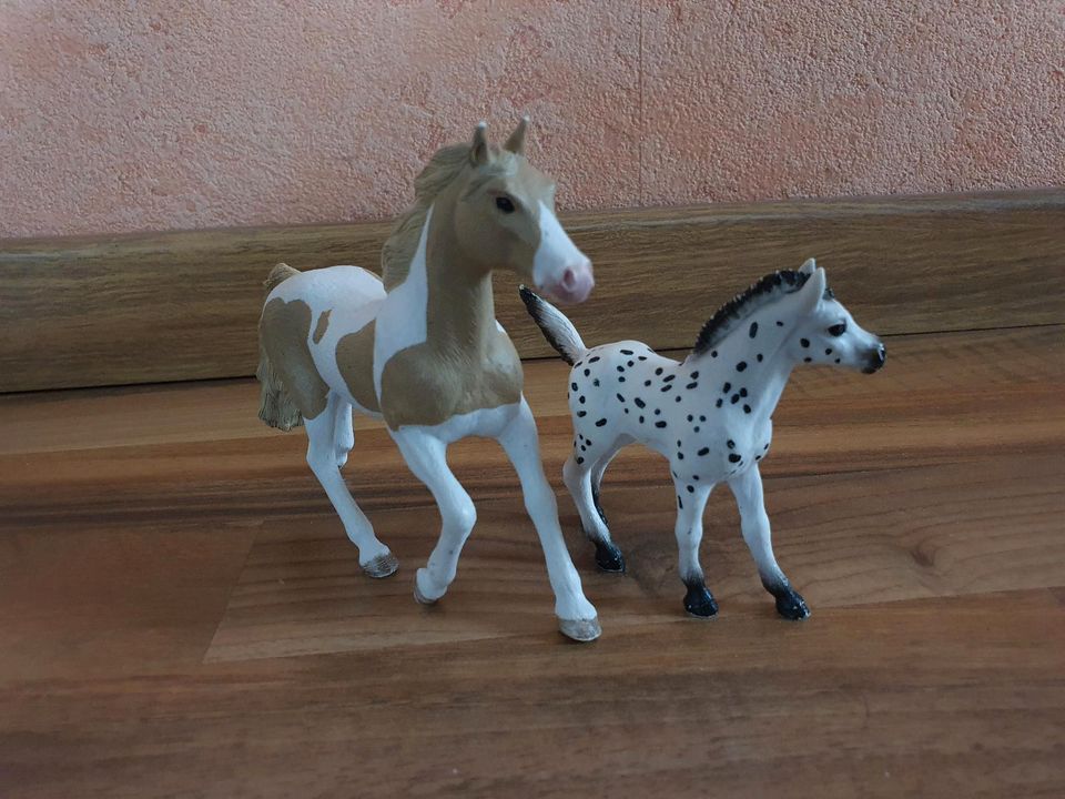 Schleich Pferde im Set in Schmalkalden