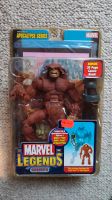 Marvel Legends SASQUATCH, Apocalypse BAF Serie, OVP 2005 Toybiz Niedersachsen - Oldenburg Vorschau