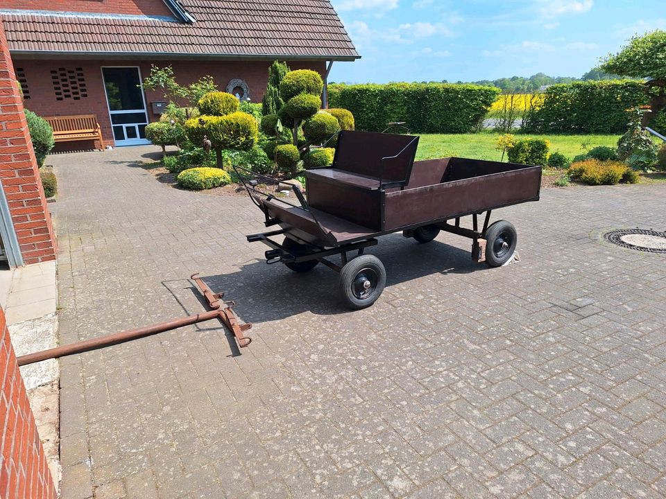 Ponykutsche Ladewagen in Diepenau