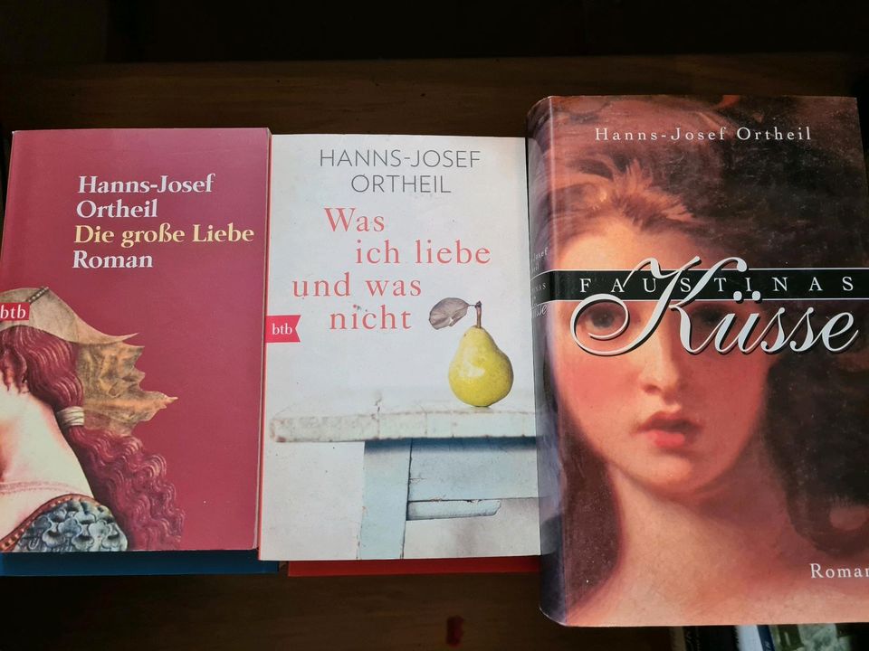 Je 3x Schami Ortheil Saramago Kaminer Groult Von Däniken Moore in Mainz