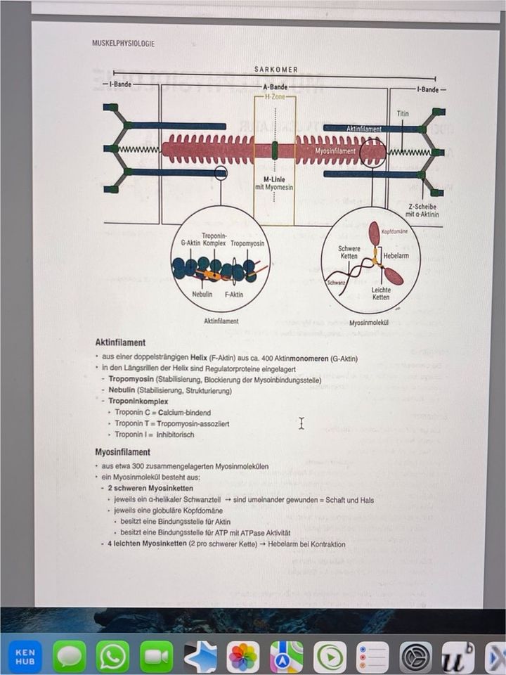 Core Text Biochmie & Physiologie Mediziner PDF‘s in Hamburg
