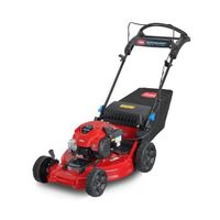 Toro Super Recycler Mäher 53 cm Hessen - Friedberg (Hessen) Vorschau