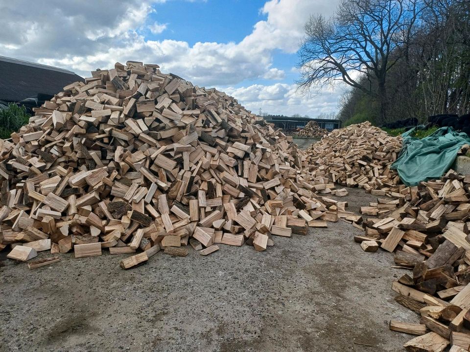 Kaminholz Brennholz Feuerholz in Gnutz