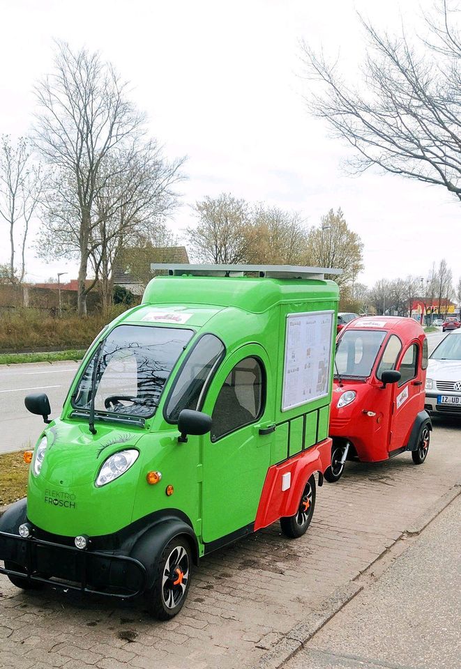 Sonderpreis Elektrofrosch Max Vorführmodell in Itzehoe