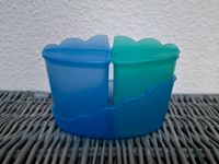 Tupperware Junge Welle Behälter Hessen - Heuchelheim Vorschau