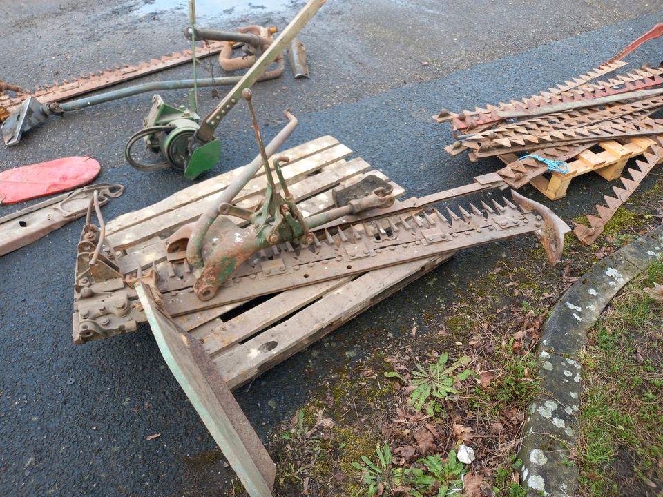 Mähwerk Busatis Fendt Deutz Eicher Fahr Sammlung in Trebbin