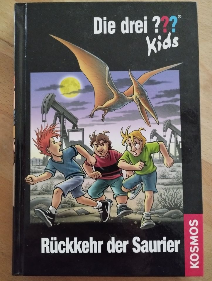 Die drei ??? Kids - Rückkehr der Saurier Buch in Linsengericht