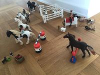 Schleich Pferde und Zubehör Hessen - Bad Nauheim Vorschau