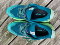 Asics Gel-Trabuco 12, Laufschuh, Trail Running Sportschuh, Damen Niedersachsen - Tostedt Vorschau