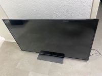 Panasonic TV 55 Zoll TX-55GXW584 Baden-Württemberg - Albershausen Vorschau