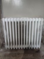 Zehnder Röhrenradiator Heizkörper 2-Säuler H: 60 L: 55,2cm  neu Sachsen-Anhalt - Aken Vorschau