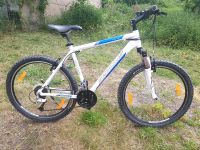 Fahrrad Serious MTB Eight Ball 26" Sachsen-Anhalt - Eisleben Vorschau