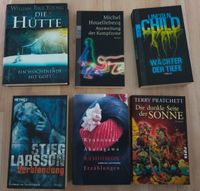 Romane / Bücher Pratchett Larsson Houellebecq Marburg - Wehrda Vorschau