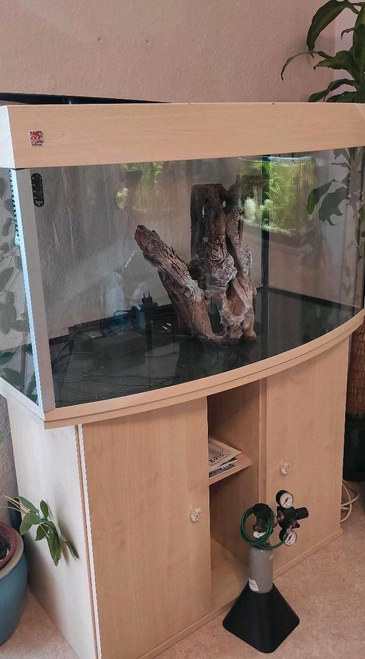 Aquarium mit Ständer und Zubehör 190L in Viersen