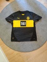 Original Dortmund (Heim) Trikot Bayern - Haßfurt Vorschau